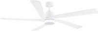 WINGBO 54" Ceiling Fan with Lights&nbsp;