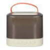 Portable Mini Karaoke System with Colorful Lights, Two Microphones