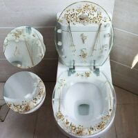 Clear Resin Transparent Toilet Seat