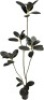 Artificial Rubber Tree,6ft Tall Fake Plants Artificial Rubber Plants for Indoor, Fake Trees for Office Home Living Room Floor Patio Greening Porch Decor。