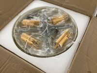 Ceiling Light Fixture&nbsp;