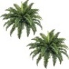 Artificial Plant Decor