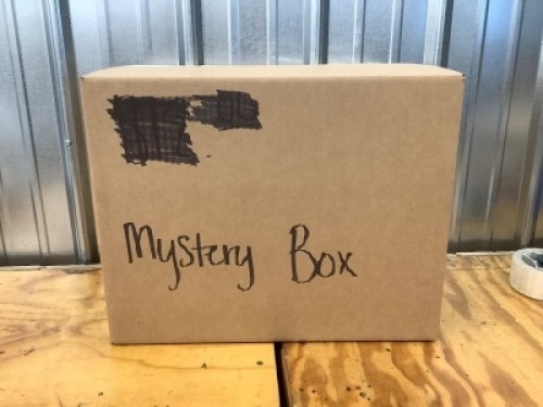 Amazon Mystery Box