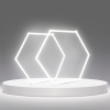 12-Pack LED Hexagon Garage Light: 12700LM Car Detailing Shop Light, DIY Splicing Ceiling & Wall Decor Lights, for Workshop Basement Gym Warehouse Bar Gaming Room (12-Packs)