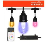 Hampton Bay Indoor/Outdoor 12-Light 24 ft. Smart Plug-in Edison Bulb RGBW Color Changing LED String Light Powered by Hubspace