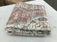 4' x 2' Area Rug