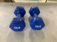 Set of 12lb Dumbbell Weights