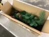 Set of 2 Pre-Lit Pathway Christmas Trees w/ Pine Cones, Timer - 24.5in - 2
