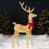 5ft Lighted 2D Christmas Buck Outdoor Yard Decoration w/ 105 LED Lights, Stake