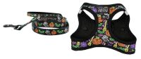 Sassy Meow Halloween Leash and Harness Set