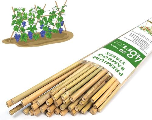 4.8' Bamboo Garden Stakes, 20pc
