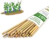 4.8' Bamboo Garden Stakes, 20pc