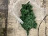 12ft Pre-Lit Spruce Hinged Artificial Christmas Tree w/ 1,300 Incandescent Lights - 3