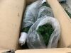 12ft Pre-Lit Spruce Hinged Artificial Christmas Tree w/ 1,300 Incandescent Lights - 4