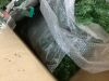12ft Pre-Lit Spruce Hinged Artificial Christmas Tree w/ 1,300 Incandescent Lights - 5