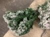 9' Pre-Lit Snow Flocked Artificial Pine Christmas Tree w/ Warm White Lights - 7