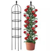 5.9 ft. Obelisk Trellis Tower for Climbing Plants, 2-Pack