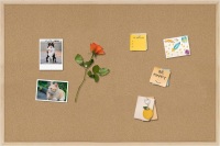 Cork Board Bulletin Board, 36x24