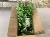 Nearly Natural Green Variegated Spiderwort Hanging Basket Artificial Plant - 2