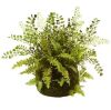 Nearly Natural Artificial Mixed Fern with Twig and Moss Basket