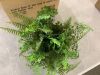 Nearly Natural Artificial Mixed Fern with Twig and Moss Basket - 4