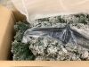 9' Pre-Lit Snow Flocked Artificial Pine Christmas Tree w/ Warm White Lights - 3