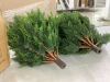 Artificial Cedar Topiary Ball Trees with Ground Spike, Set of 2 - 4