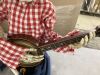 Halloween Animatronics Banjo Playing Skeleton, 3.2 ft - 5
