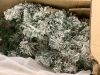 6' Pre-Lit Snow Flocked Artificial Pine Christmas Tree w/ Warm White Lights - 6