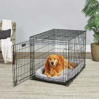 Midwest 42" Life Stages Dog Crate