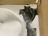 12 Inch Black Finish with Milk Glass Semi Flush Mount Ceiling Light - 6