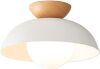 Nordic Style Minimalist Ceiling Light
