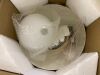 Nordic Style Minimalist Ceiling Light - 2