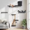 Plush Cat Wall Furniture Set
