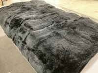 8 x 10 Area Rug