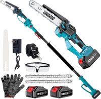 Autubin 2-in-1 Cordless Pole Saw & 8'' Mini Chainsaw