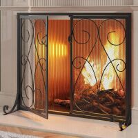 Kingson 2-Panel Fireplace Screen with Doors