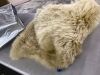 Sheepskin Area Rug 2' x 6' - 5