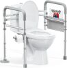 HOMLAND Toilet Safety Rails