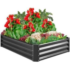 Outdoor Metal Raised Garden Bed, 4x3x1ft