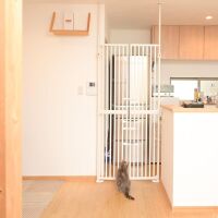 YGP Extra Tall Cat Gate, 33-37.8" W,1.3" Narrow Bar, Auto Close