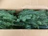6' Pre-Lit Artificial Scotch Pine Pencil Christmas Tree w/ Metal Stand - 3
