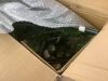 6' Pre-Lit Partially Flocked Pencil Christmas Tree w/ Pine Cones, Metal Stand - 3