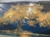 Gold Tree of Life Wall Art, 21" x 48" - 4