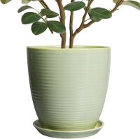 10" Ceramic Planter Pot with Drainage Hole & Tray
