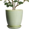 10" Ceramic Planter Pot with Drainage Hole & Tray