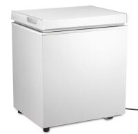 Garage Ready 20.67 in. 1.8 cu. ft. Manual Defrost Chest Freezer with Temperature Alarm Chest Freezer in White