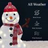 2D Lighted Snowman Family Set - 3