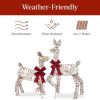 3 Piece Lighted Christmas Deer Set - 3