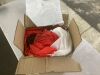 Christmas Blow Up - Uninspected - 2